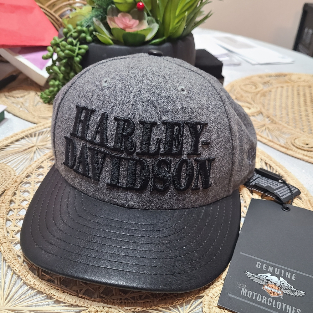 Harley-Davidson Gray and Black Cap